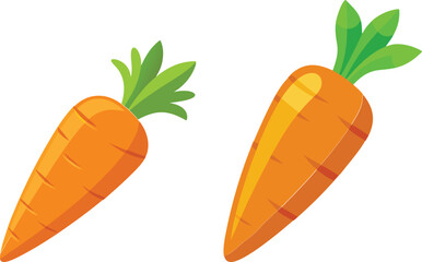 carrot vector illustration on white background 