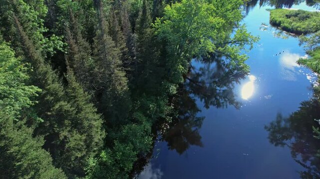 Grassy swampy creek river with calm like mirror water. Stream is reflecting sun leaks, trees shadows and sky. Relaxing aerial nature. Suburbs of Halifax, Nova Scotia, Canada. Beautiful natural scenery