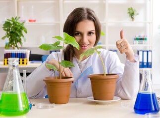 Young beautiful biotechnology chemist working in the lab