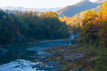 日本の風景・秋　埼玉県長瀞町　紅葉の秩父長瀞