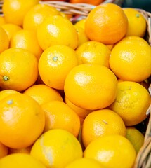 Citrus fruits at the market display stall