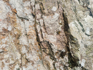 close up vief of detailed rock stone with some white mold stain, grunge textured pattern image.