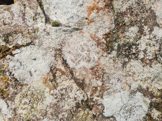 close up vief of detailed rock stone with some white mold stain, grunge textured pattern image.