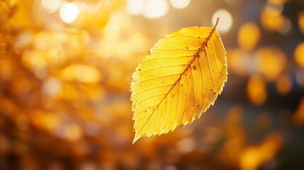 Obraz premium Close-up of a yellow autumn leaf. A bright orange tree changes with a blurred bokeh background. Golden colors in the park on a light, sunny, and warm October day. generative ai