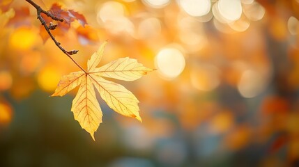 Close-up of a yellow autumn leaf. A bright orange tree changes with a blurred bokeh background. Golden colors in the park on a light, sunny, and warm October day. generative ai