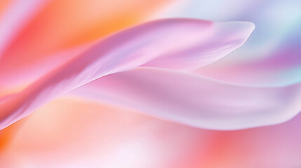 Fototapeta premium abstract background with flower pedals 