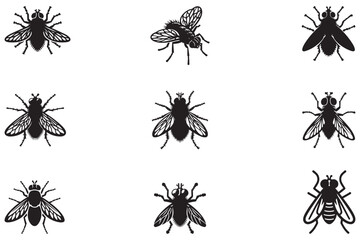 Icon of an insect fly silhouette. A black vector of a housefly on a white background.