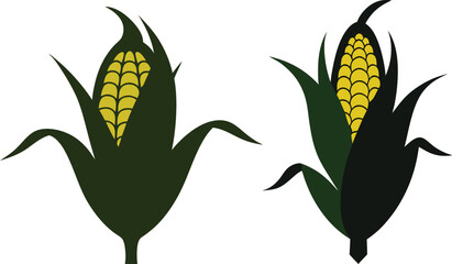 Corn  silhouette illustration white background 