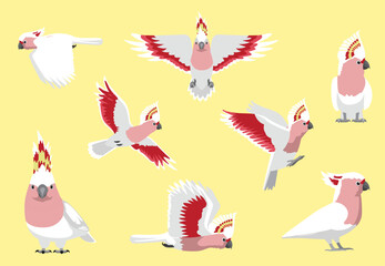 Major Mitchell's Cockatoo Bird Pink Parrot Various Poses Vector Illustration © bullet_chained