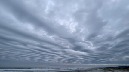 Fototapeta premium Stratus clouds spread a grey blanket across the sky, signaling an overcast day.