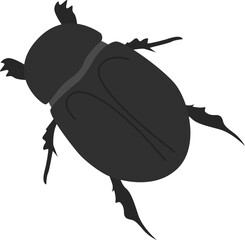 Black bettle