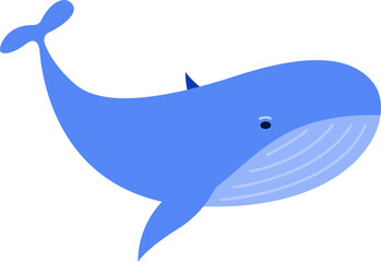 whale ocean mammals