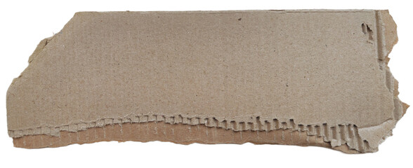 cardboard torn piece with blank space for text label or background