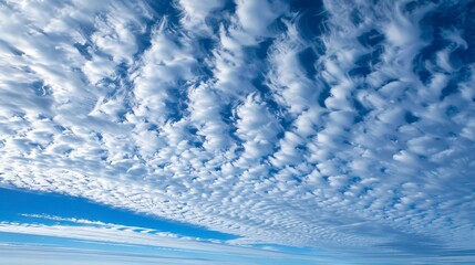 Obraz premium The beautiful patterns of altocumulus clouds resemble cotton balls.