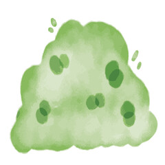 bunch of green grass