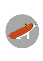 横向きに座るコーギーのイラスト