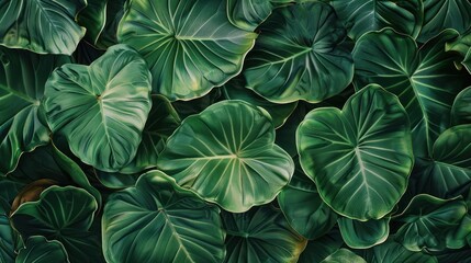 Fototapeta premium Lush Green Foliage Pattern