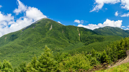 絶景の八子ヶ峰トレッキング　北八ヶ岳　蓼科山と北横岳遠景　長野県　日本