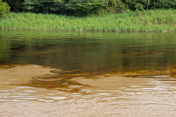 Black Water River in Pacaya Samiria
