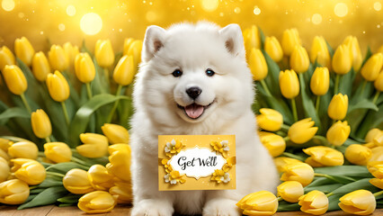 Get well card features a smiling samoyed dog and a heartwarming bouquet of tulip, expressing wish for a speedy recovery.
