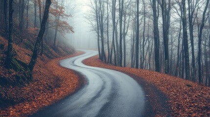 Fototapeta premium Lonely autumn road disappearing into the fog, with leafless trees lining the edges and a sense of solitude.