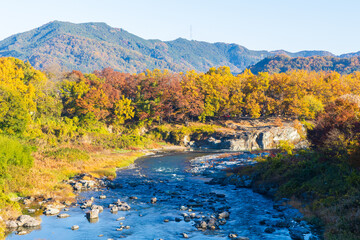 日本の風景・秋　埼玉県長瀞町　紅葉の秩父長瀞