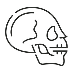 Skull outline icon, showing anatomy outline icon, minimalist vector illustration and transparent graphic element. Isolated on white background
