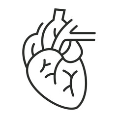 Heart outline icon, showing anatomy outline icon, minimalist vector illustration and transparent graphic element. Isolated on white background