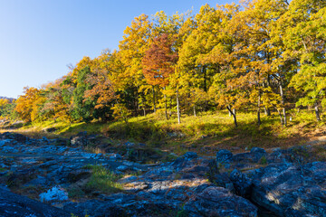 日本の風景・秋　埼玉県長瀞町　紅葉の秩父長瀞　蓬莱島