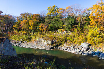 日本の風景・秋　埼玉県長瀞町　紅葉の秩父長瀞　蓬莱島