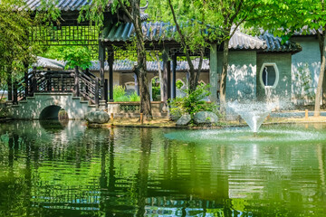 Serene Pond in a Garden: A Tranquil Nature Retreat