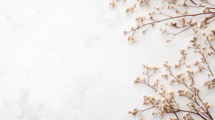 small branches of dried flowers lie scattered on a light table, top view, hyperrealism,