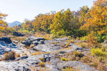 日本の風景・秋　埼玉県長瀞町　紅葉の秩父長瀞　岩畳