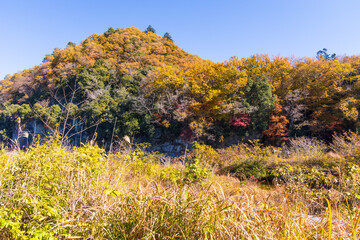 日本の風景・秋　埼玉県長瀞町　紅葉の秩父長瀞　岩畳