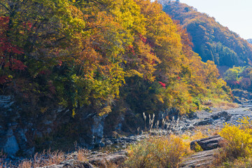 日本の風景・秋　埼玉県長瀞町　紅葉の秩父長瀞　岩畳