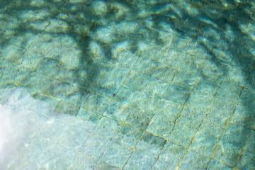 Tropical Leaf Shadows on Pool Surface
