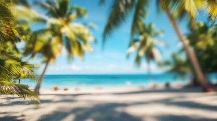 Blurred Palm Trees Overlooking a Tropical Beach