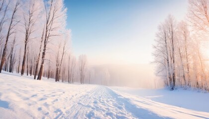 Obraz premium Snowy path through a winter wonderland