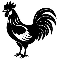 Rooster isolated vector silhouette illustration on a white background