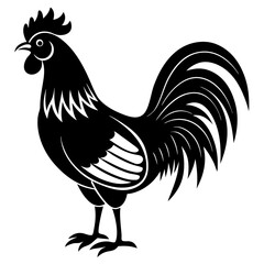 Rooster isolated vector silhouette illustration on a white background