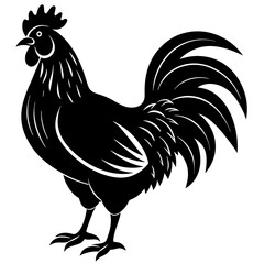 Rooster isolated vector silhouette illustration on a white background