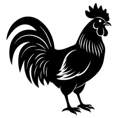 Rooster isolated vector silhouette illustration on a white background