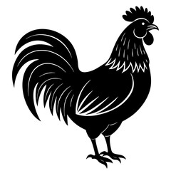 Rooster isolated vector silhouette illustration on a white background