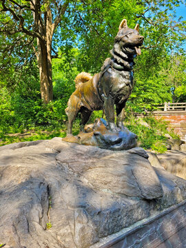 Balto statue in Central Park, New York City under sunny trees and blue sky