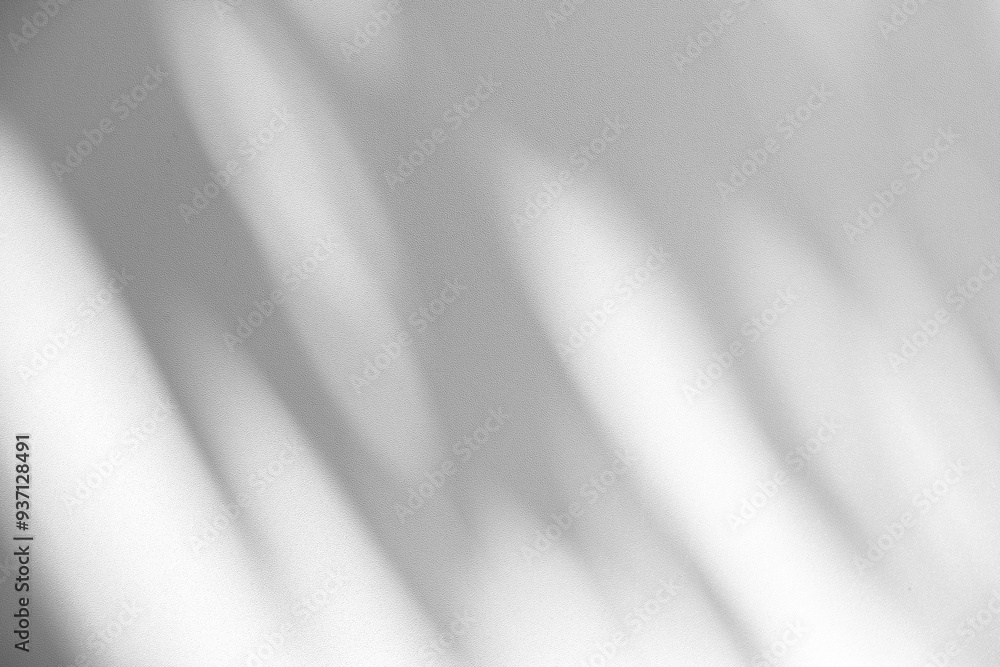 Poster Wall interior background, studio and backdrops show products.with shadow from window color white and grey. background for text insertion and presentation product	
