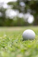A golf ball is sitting on the grass.