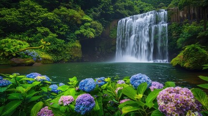 waterfall in the forest