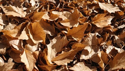 Fototapeta premium Autumns golden tapestry of fallen leaves