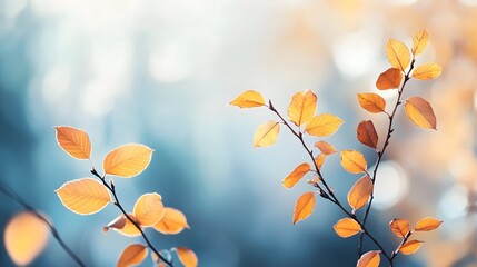Autumn Branch Foliage: Sunlit Blurred Leaves on Blue Sky, Banner Template for Nature Design