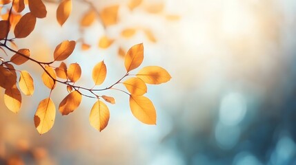 Autumn Branch Foliage: Sunlit Blurred Leaves on Blue Sky, Banner Template for Nature Design
